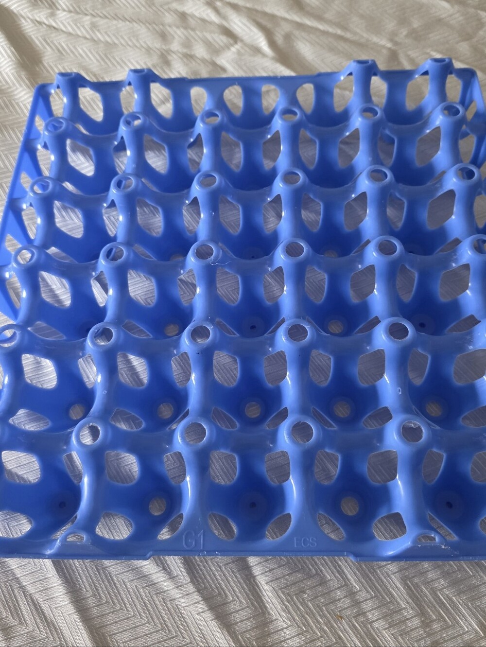 Blue Plastic Egg Tray Rack Holder: Holds 30 Lattice Eggs, 1 Pcs
